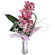 orchid with flowers in a vase
